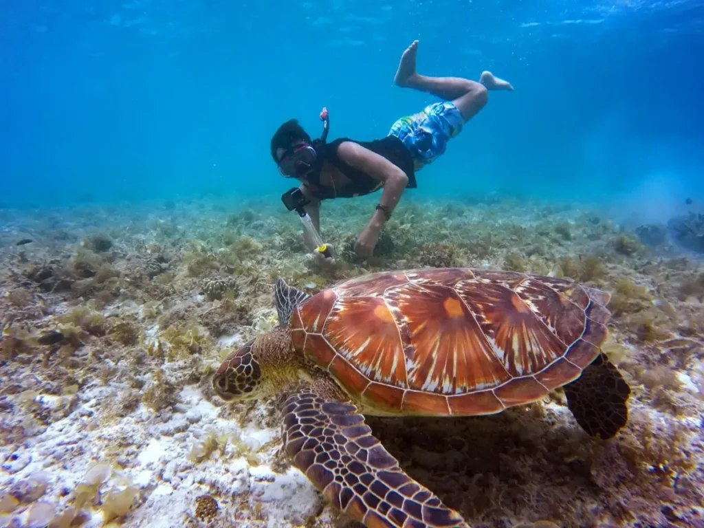 cadventuradivingbunaken | Cadventura Diving spots in Indonesia