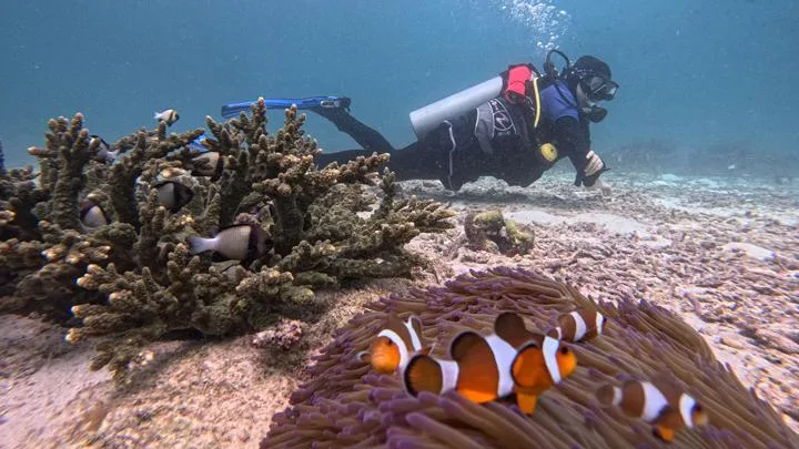 cadventurapulauweh | Cadventura Diving spots in indonesia