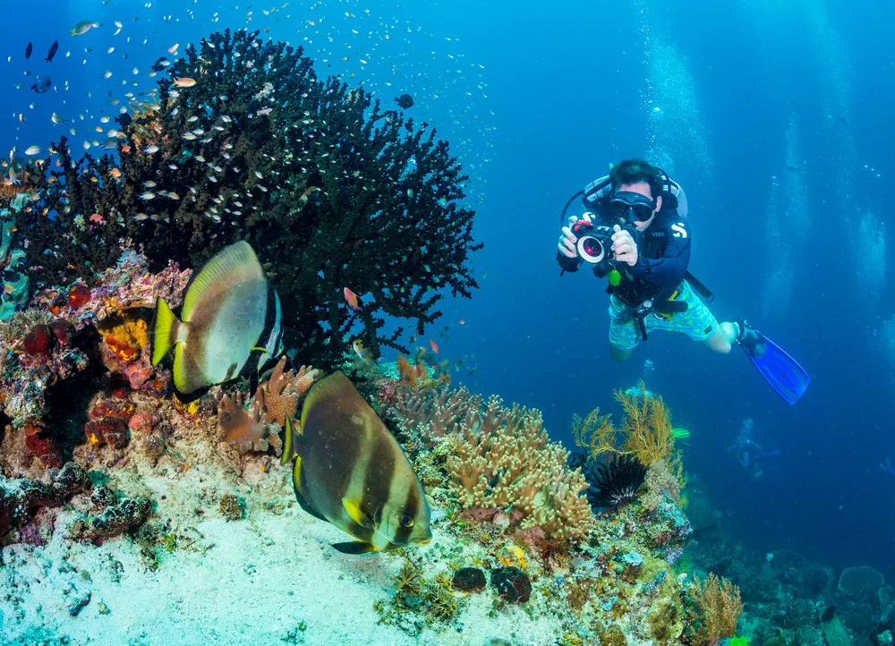 cadventurarajaampat | Cadventura Diving spots in Indonesia